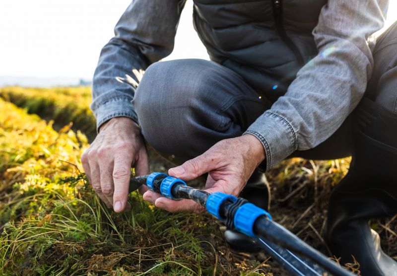 Customer Satisfaction